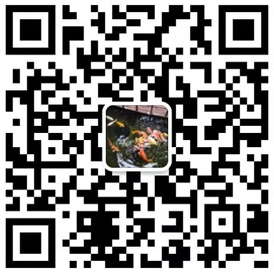 河北召文管道有限公司